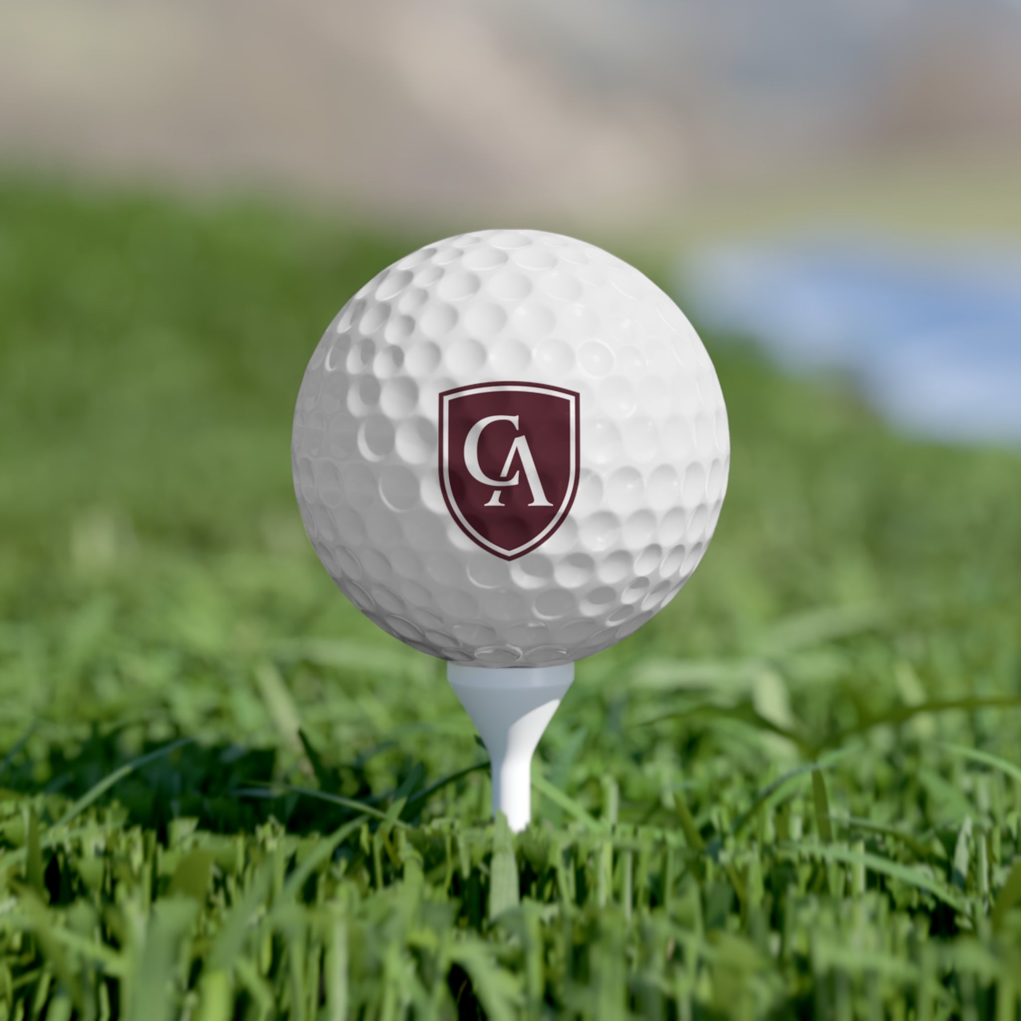 Columbus Academy Logo 6-Pack Golf Balls