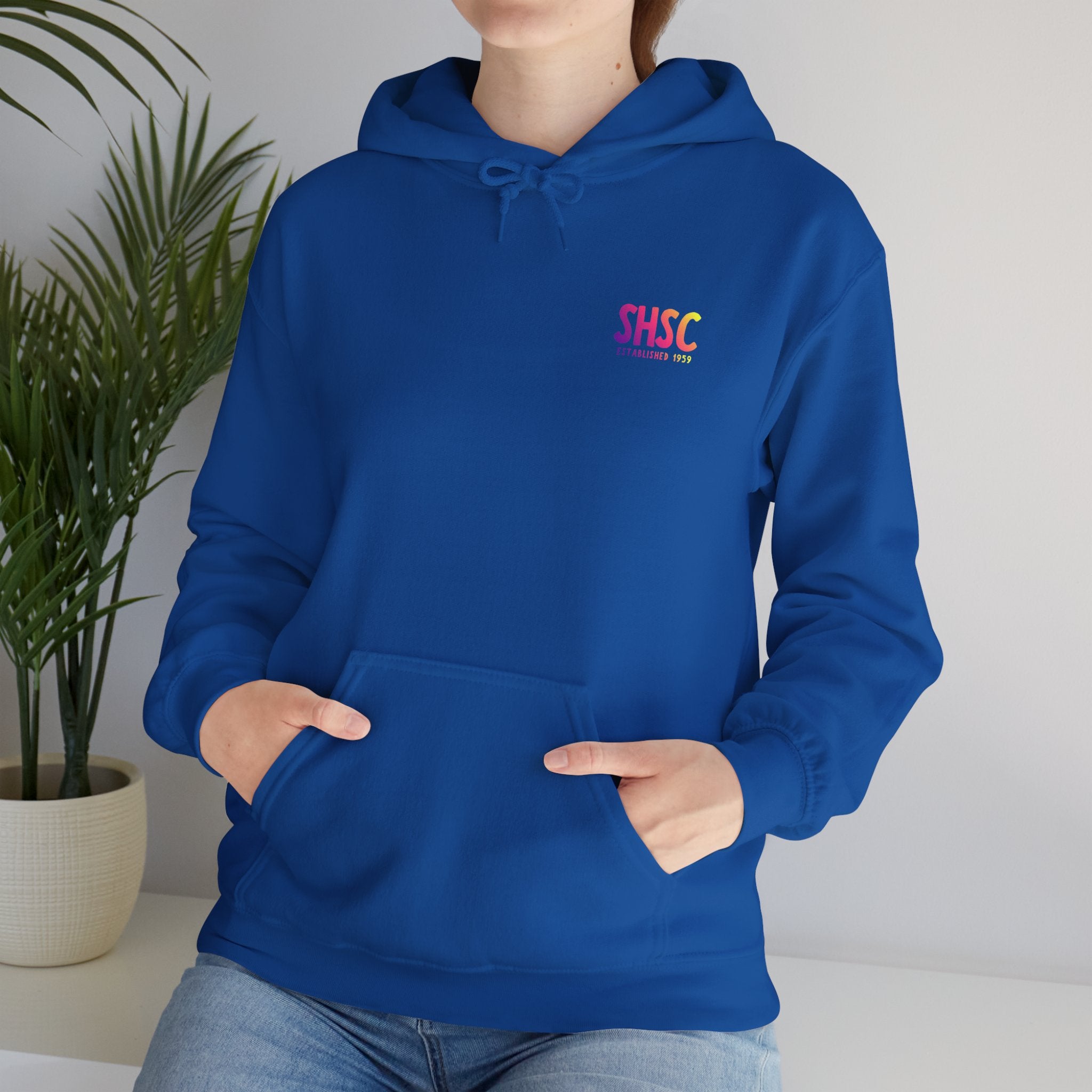 Adult Unisex South Hills Swim Club SHSC Ombre Graphic Hoodie
