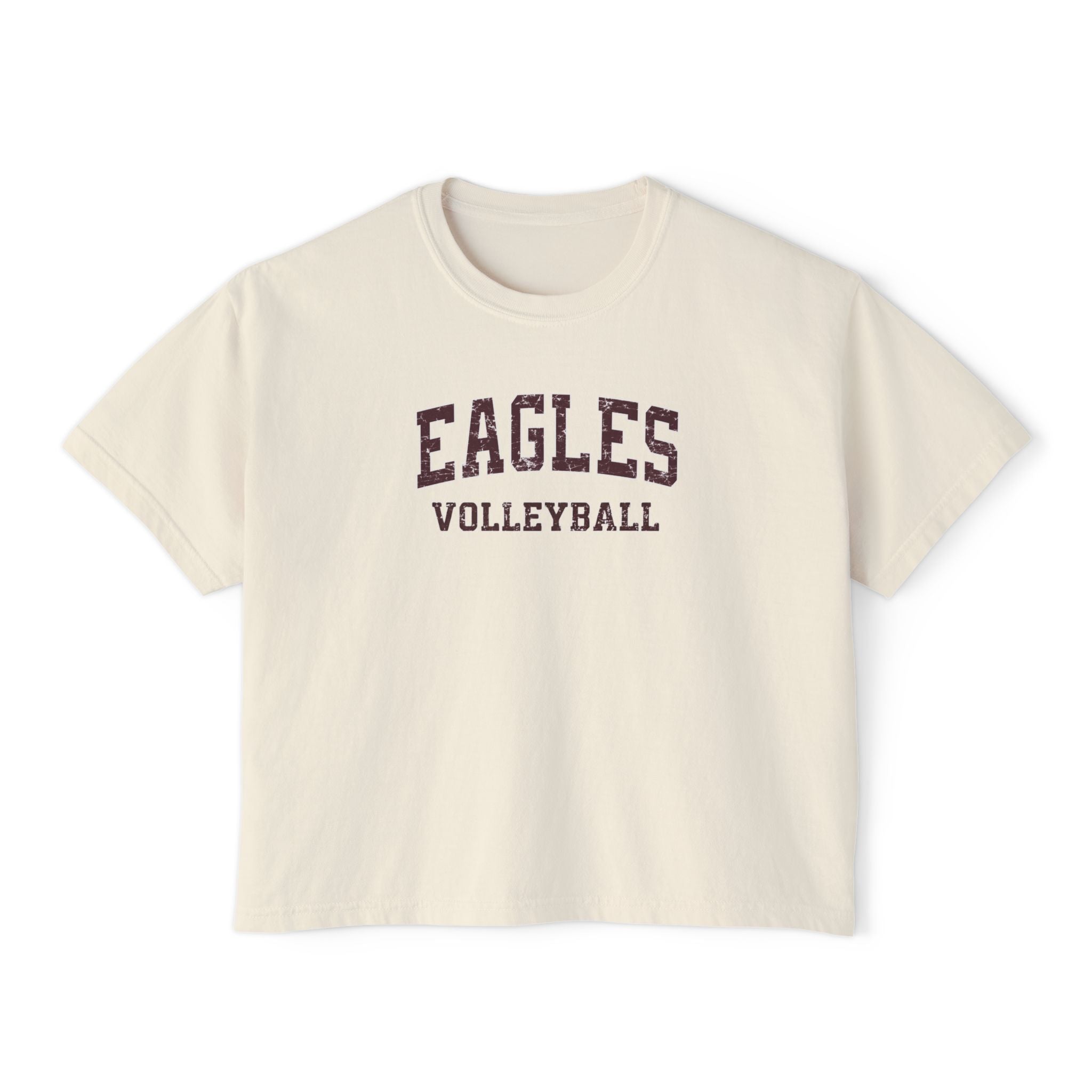 Women's New Albany Eagles Volleyball Vintage Distressed Graphic Boxy Crop Short Sleeve Tee