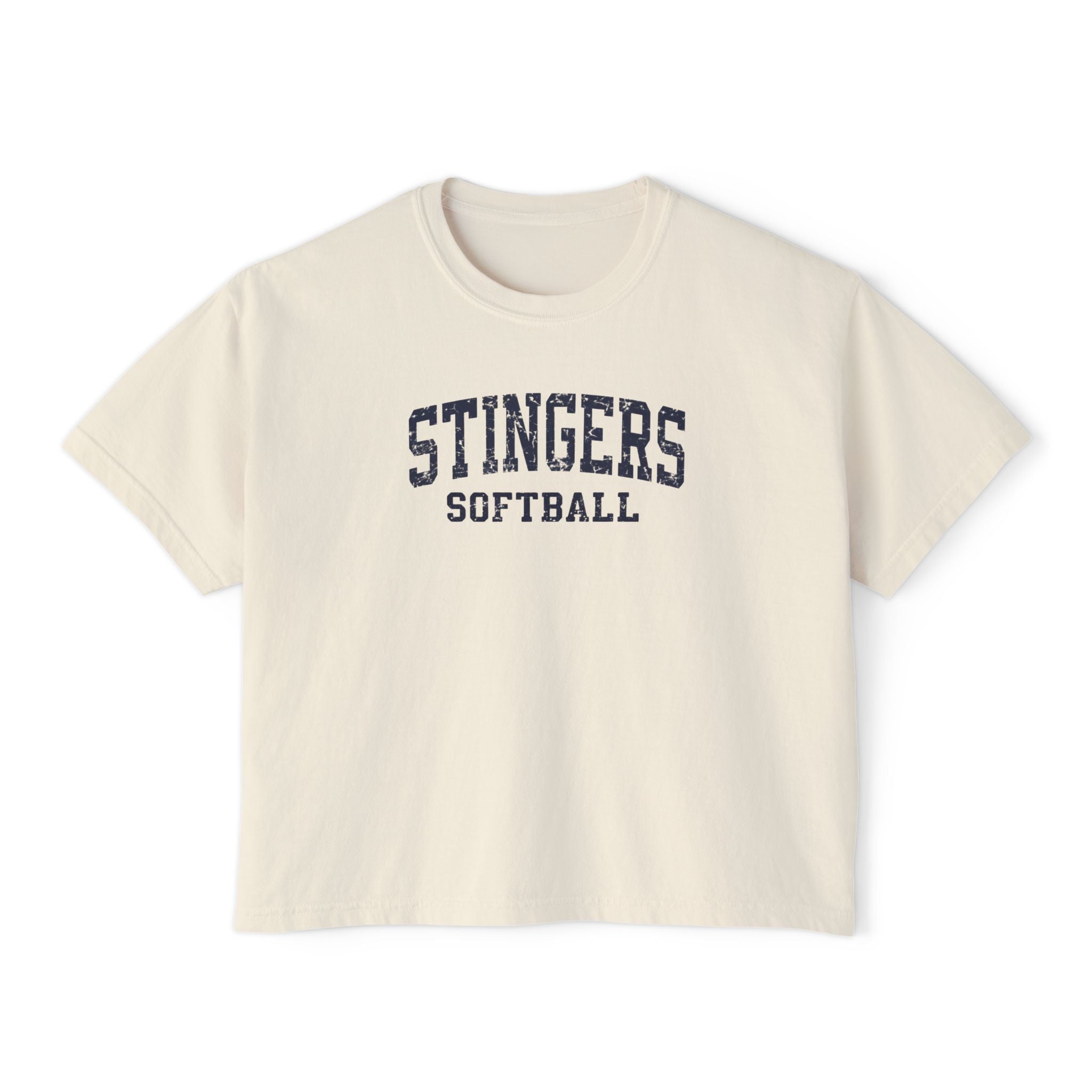 Women's Stingers Softball Vintage Distressed Graphic Boxy Crop Short Sleeve Tee