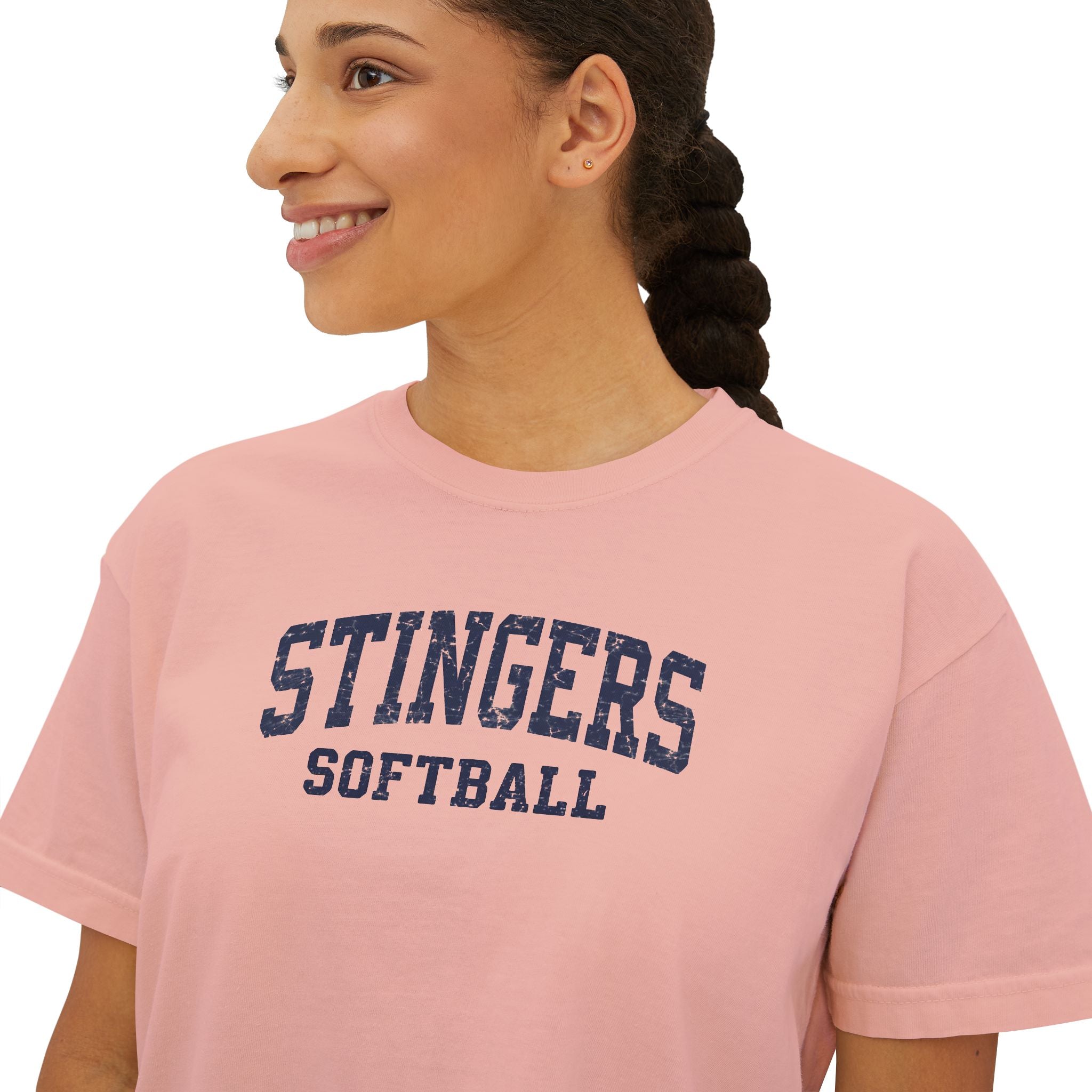 Women's Stingers Softball Vintage Distressed Graphic Boxy Crop Short Sleeve Tee