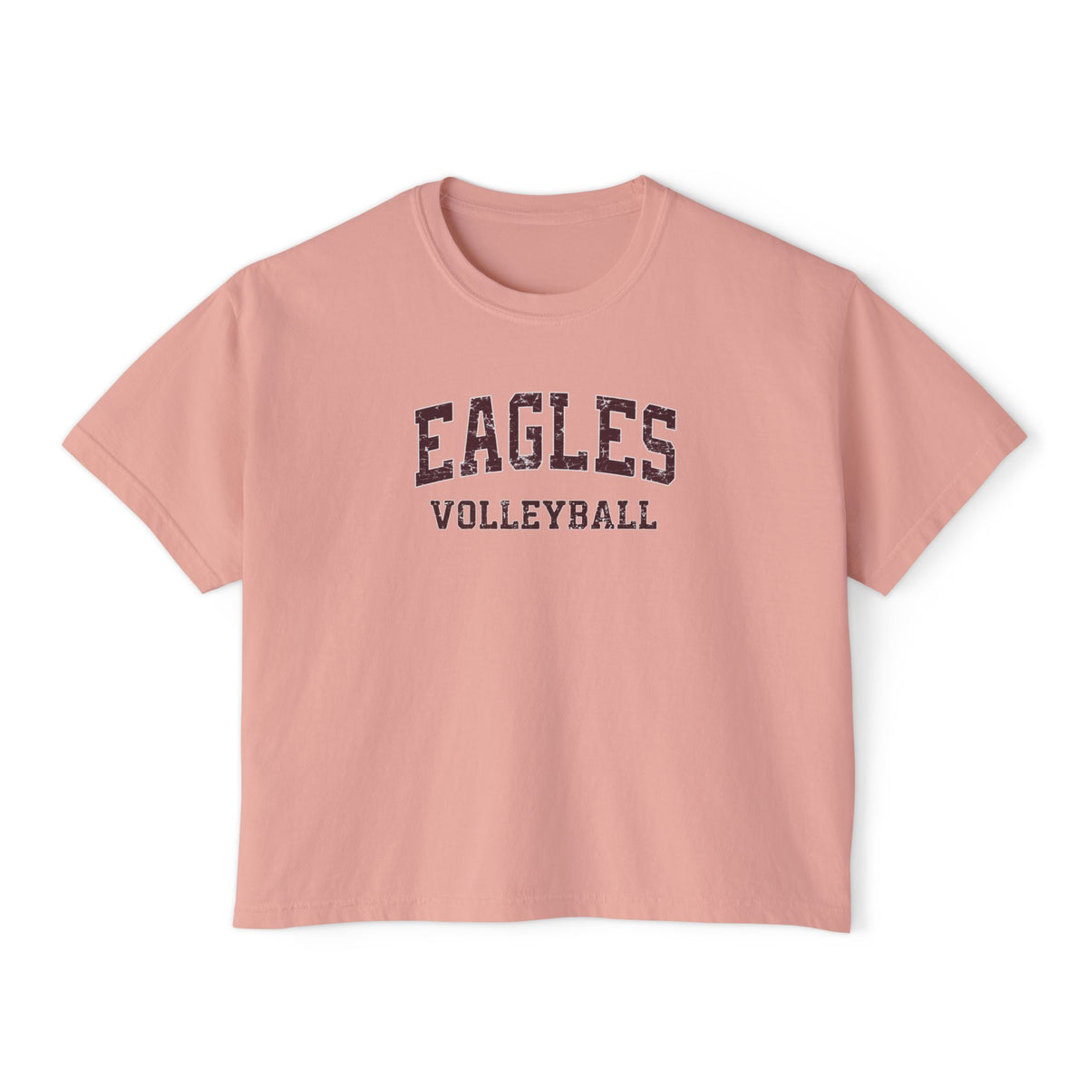 Women's New Albany Eagles Volleyball Vintage Distressed Graphic Boxy Crop Short Sleeve Tee