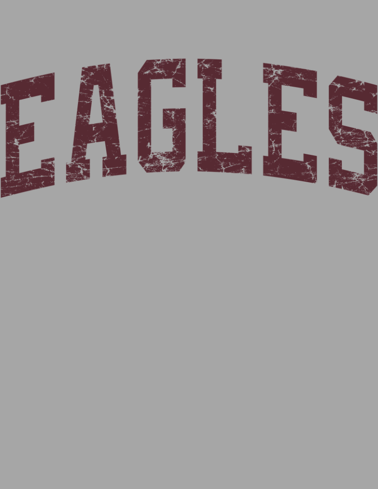 CUSTOMIZED Choose your Graphic Picnic and Stadium Blanket - SOFTBALL