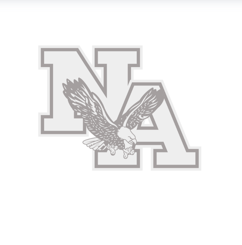 CUSTOMIZED Choose your Graphic Picnic and Stadium Blanket - SOFTBALL