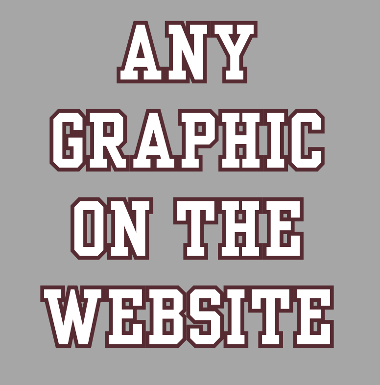 CUSTOMIZED Choose your Graphic Picnic and Stadium Blanket - SOFTBALL