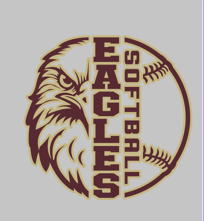 CUSTOMIZED Hooded Sherpa Fleece Blanket - SOFTBALL