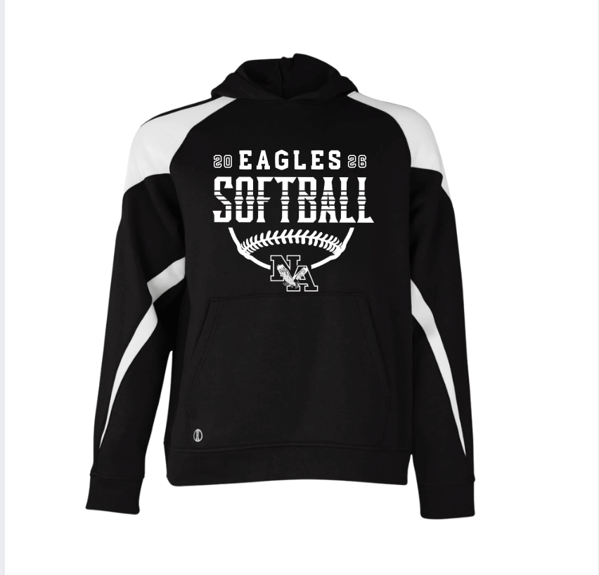 Adult Unisex New Albany Eagles Softball Strong Striped Graphic Holloway Colorblock Fleece Hoodie