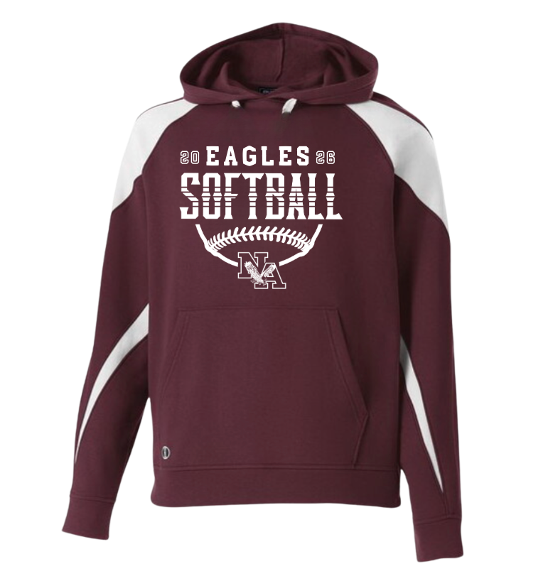 Adult Unisex New Albany Eagles Softball Strong Striped Graphic Holloway Colorblock Fleece Hoodie