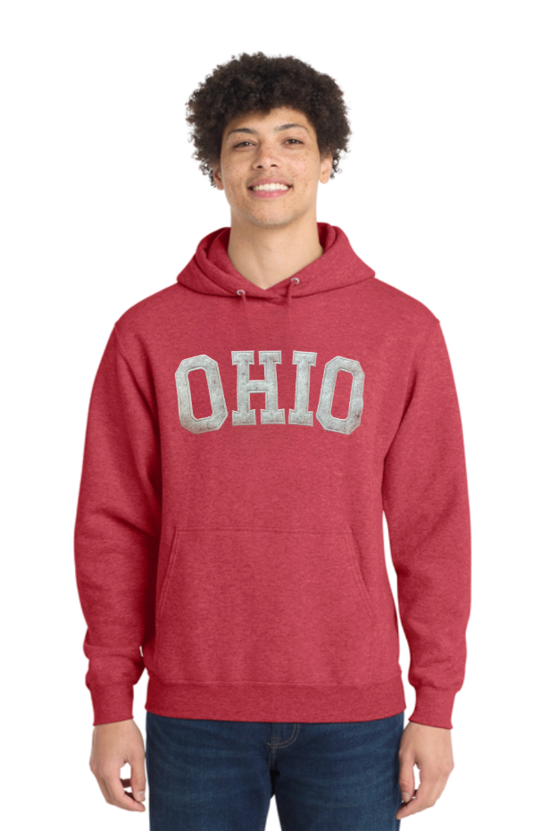 Adult Unisex Ohio Varsity Patch Letter Embroidered Hoodie