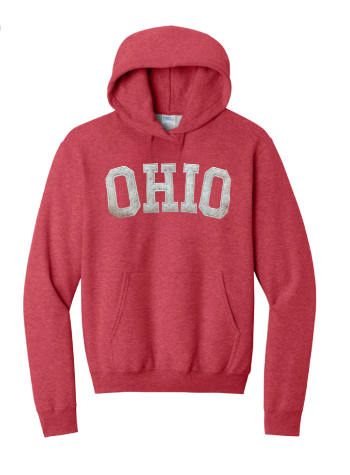 Adult Unisex Ohio Varsity Patch Letter Embroidered Hoodie