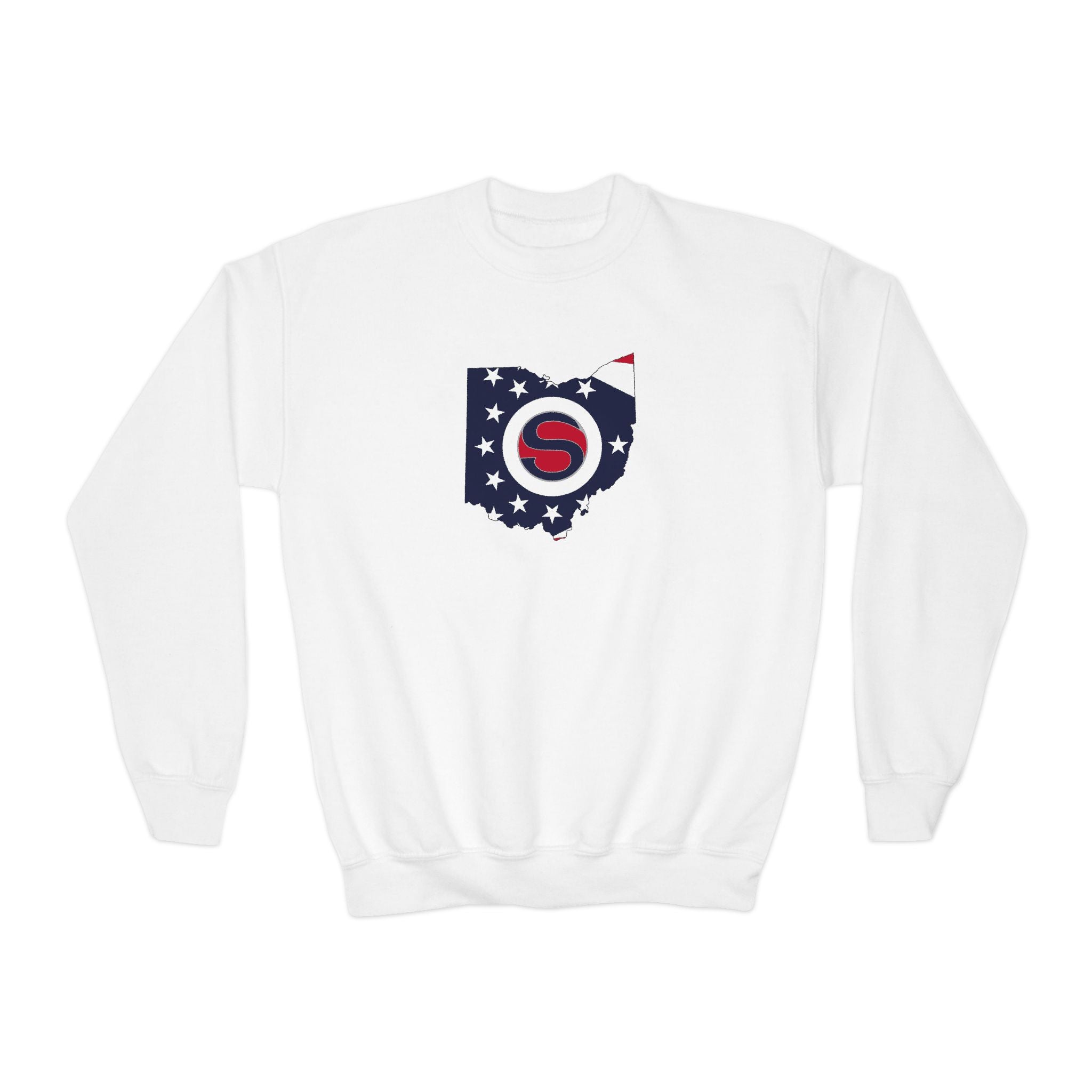 Youth Stingers Softball State Logo Graphic Gildan Heavy Blend Sweatshirt