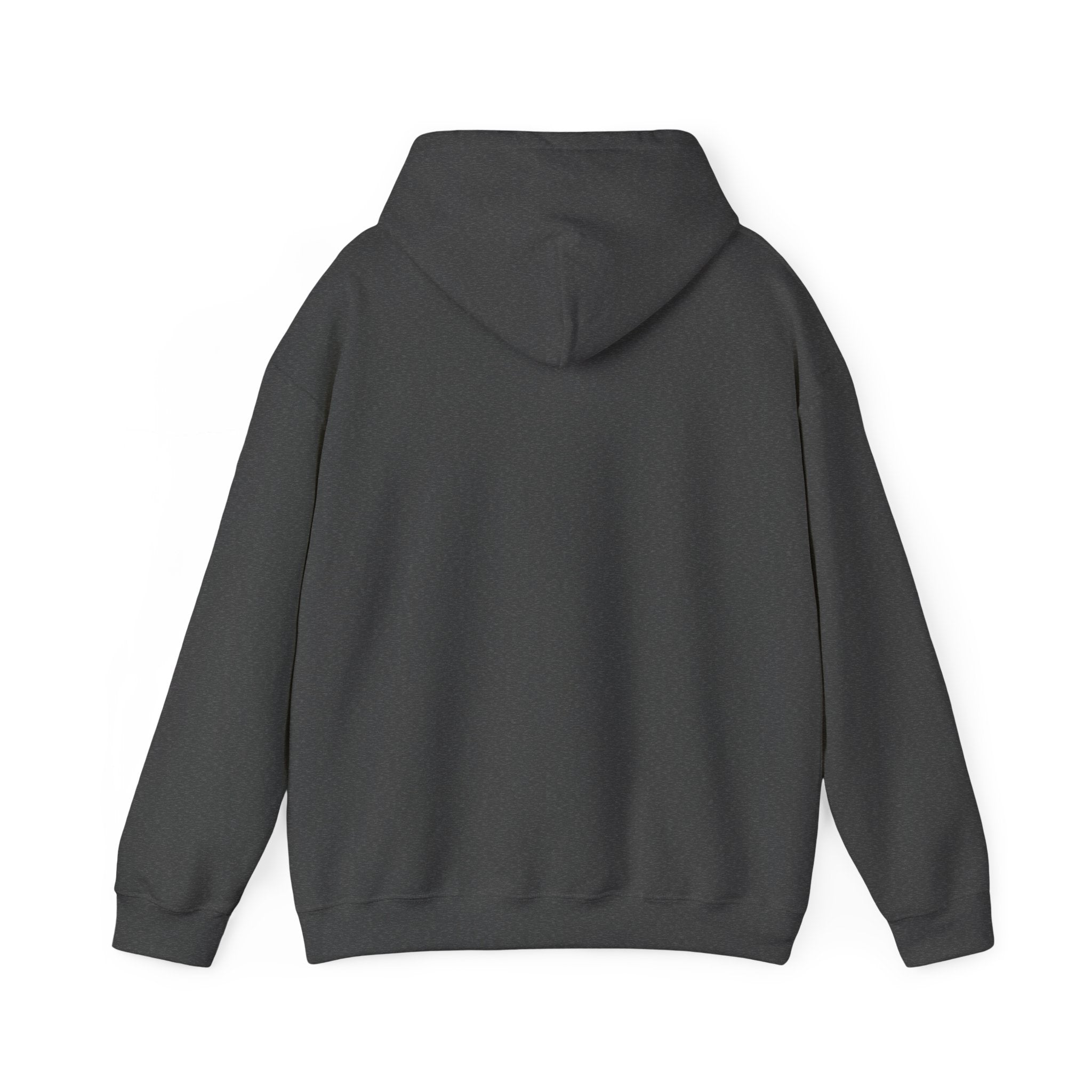 Copy of Adult Unisex New Albany Eagles Victory Volleyball Graphic Hoodie