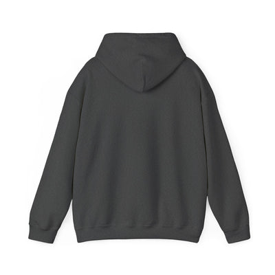 Copy of Adult Unisex New Albany Eagles Victory Volleyball Graphic Hoodie