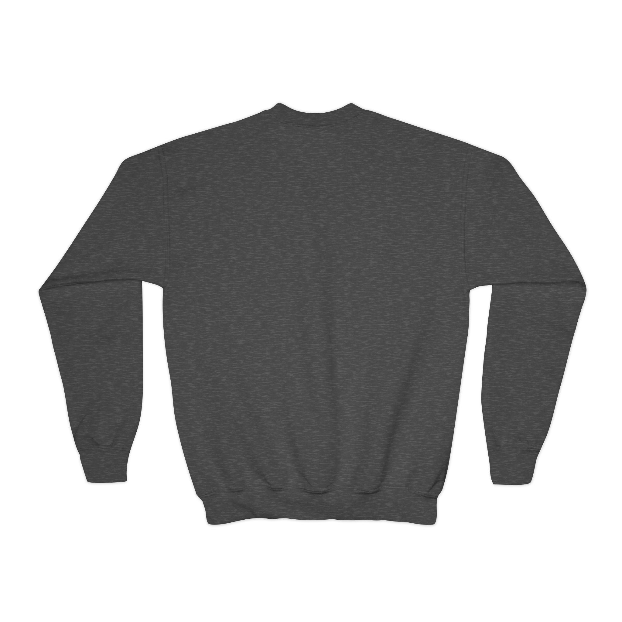 Youth New Albany Youth Soccer League Crest Graphic Sweatshirt