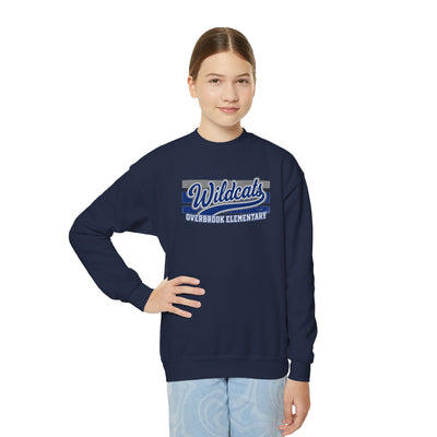 Youth Overbrook Elementary Wildcats Vintage Distressed Spirit Graphic Sweatshirt