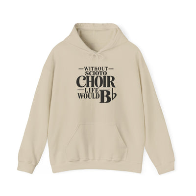 Adult Unisex Dublin Scioto Choirs Life would B-Flat Graphic Hoodie