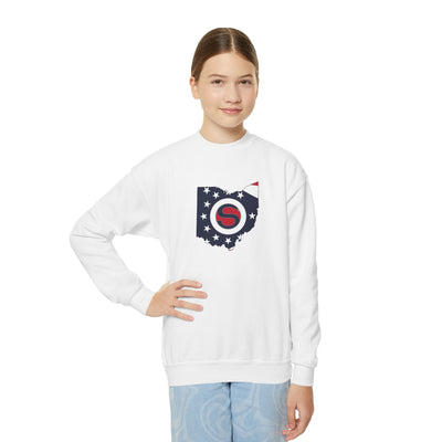 Youth Stingers Softball State Logo Graphic Gildan Heavy Blend Sweatshirt