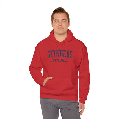 Adult Unisex Stingers Softball Vintage Distressed Graphic Hoodie