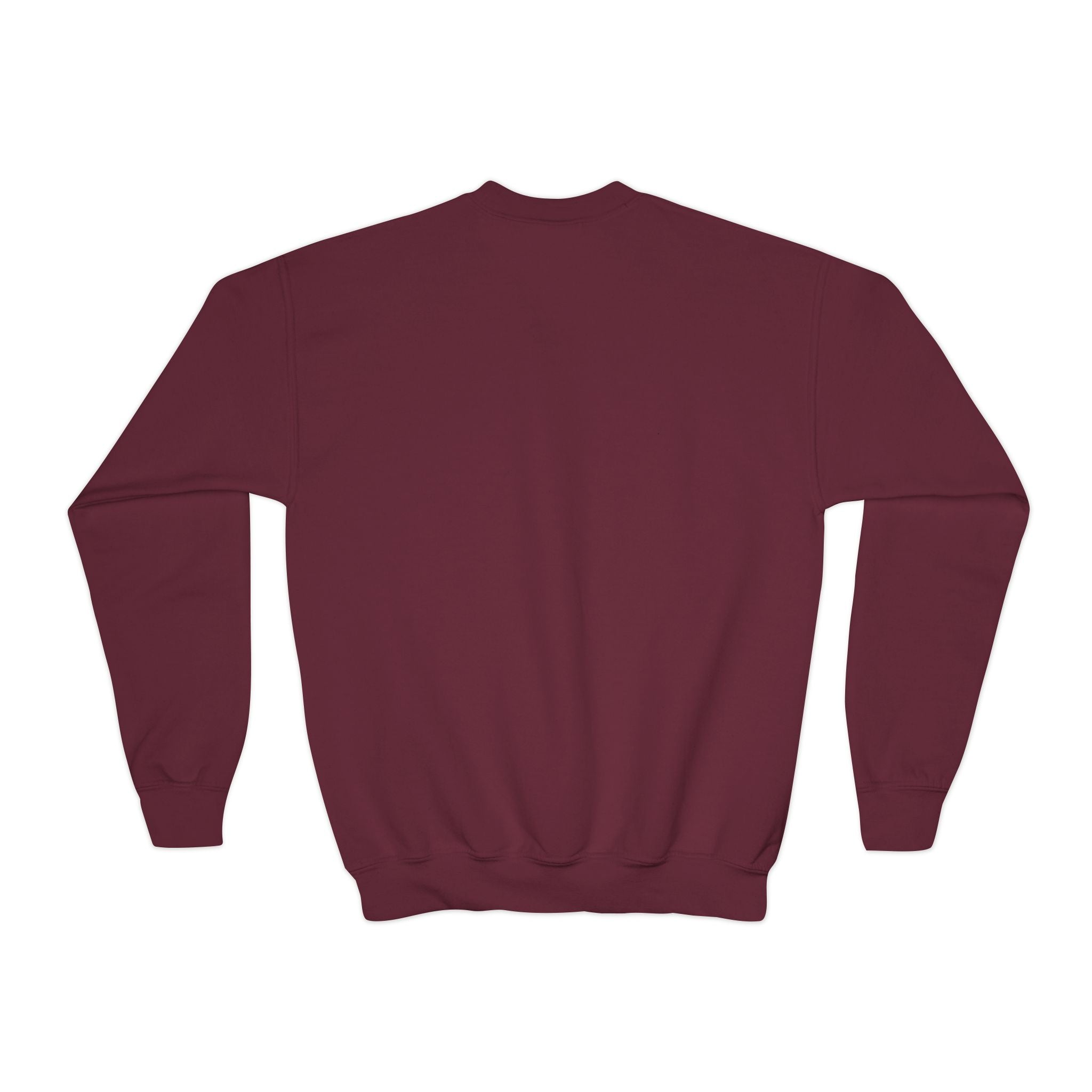 Youth New Albany Youth Soccer League Crest Graphic Sweatshirt