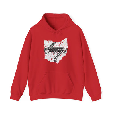 Adult Unisex OWU Baseball Stitches Distressed Ohio Graphic Hoodie