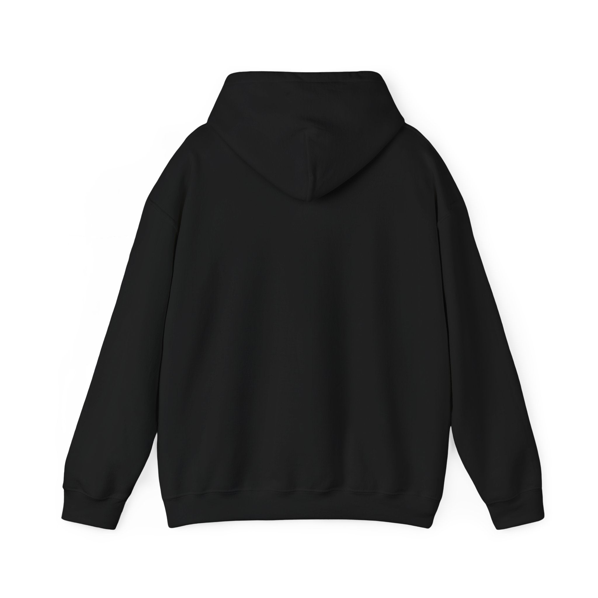 Copy of Adult Unisex New Albany Eagles Victory Volleyball Graphic Hoodie
