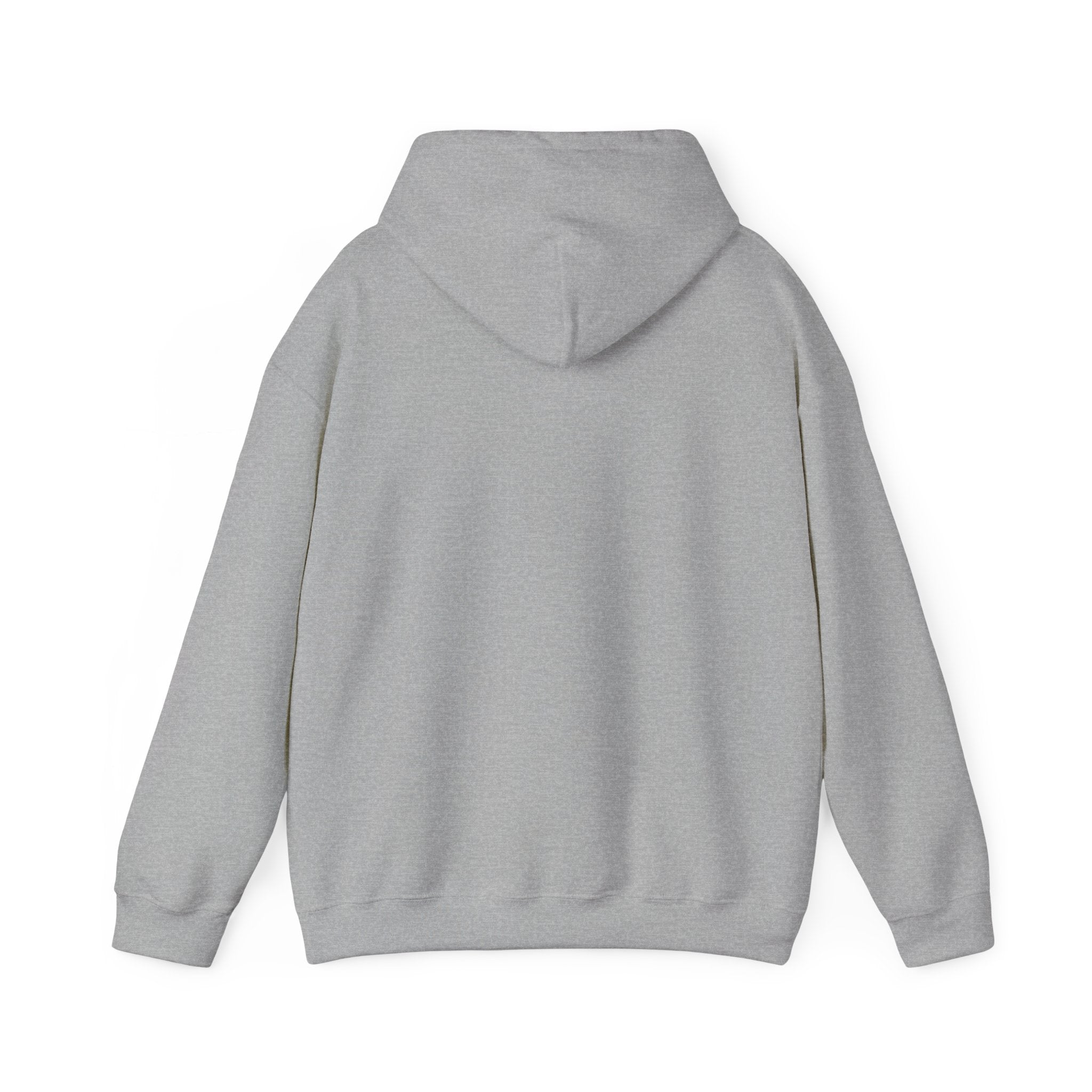 Adult Unisex New Albany Eagles Power Volleyball Graphic Hoodie