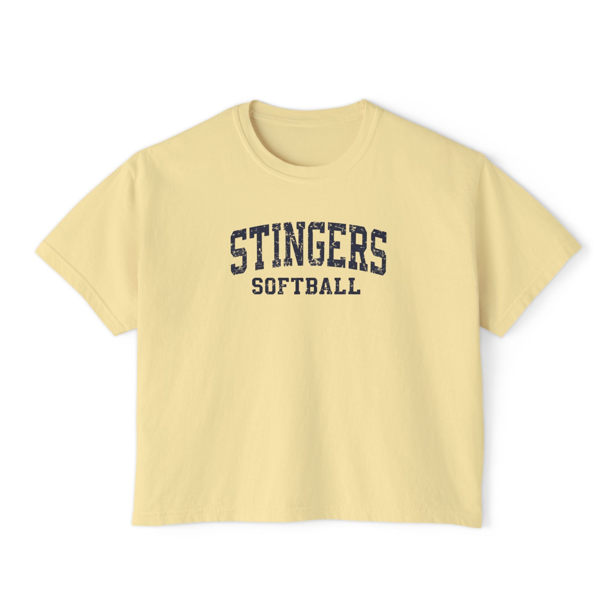 Women's Stingers Softball Vintage Distressed Graphic Boxy Crop Short Sleeve Tee