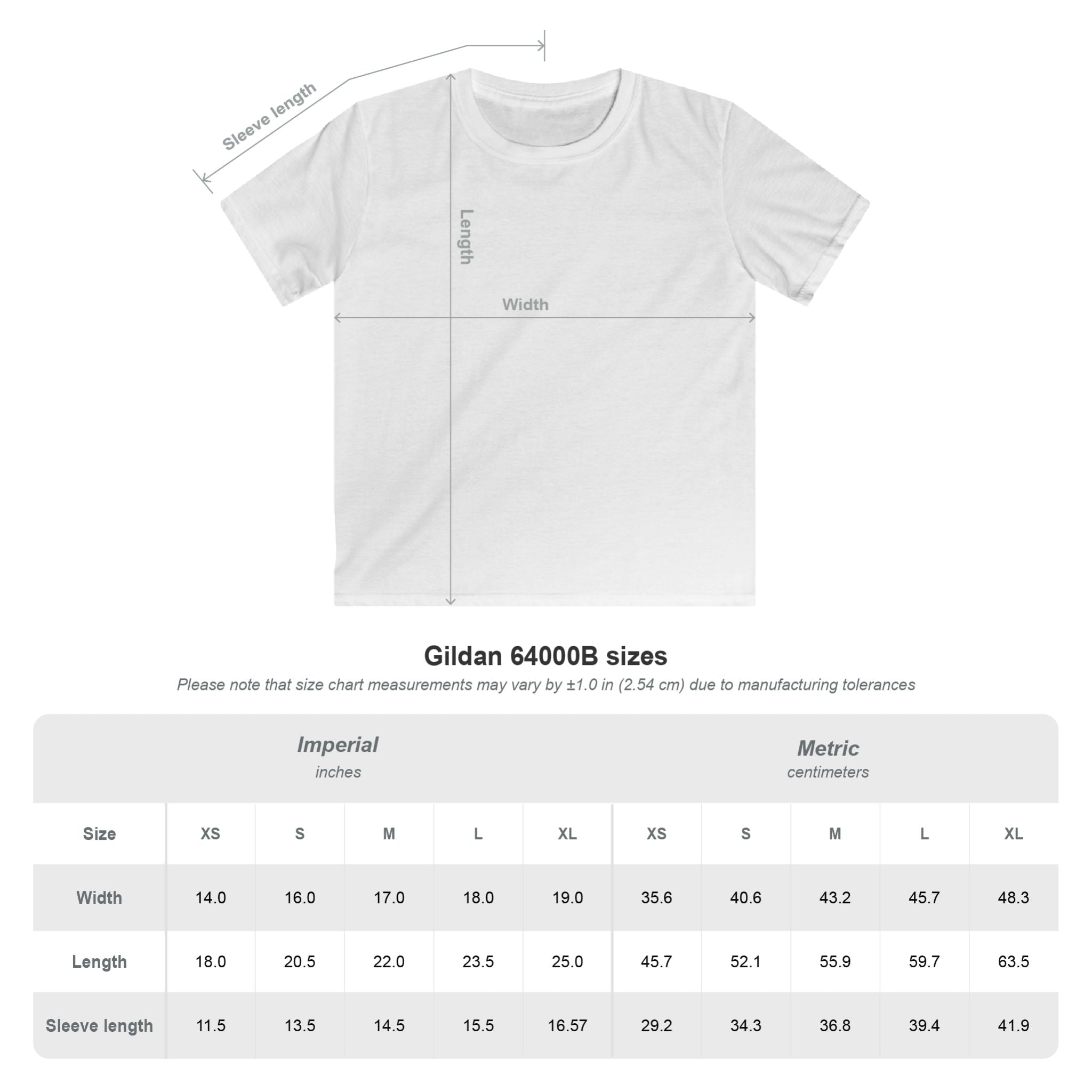 Youth South Hills Swim Club Patriotic Graphic Short Sleeve Gildan Softstyle Tee
