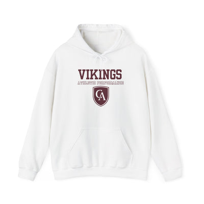 Adult Unisex Columbus Academy Vikings Athletic Performance Graphic Gildan Heavy Blend Hoodie