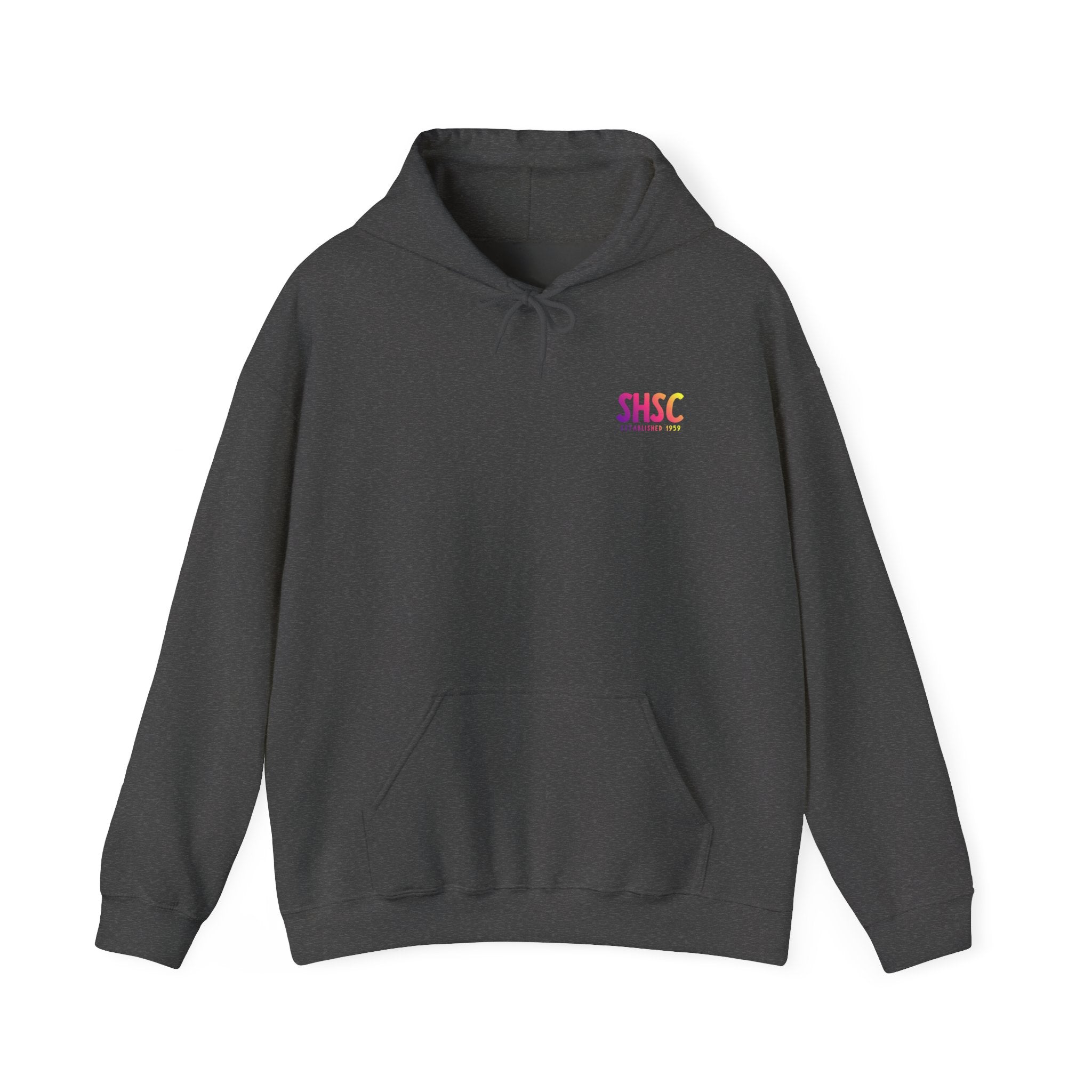 Adult Unisex South Hills Swim Club SHSC Ombre Graphic Hoodie