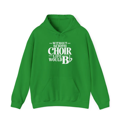 Adult Unisex Dublin Scioto Choirs Life would B-Flat Graphic Hoodie