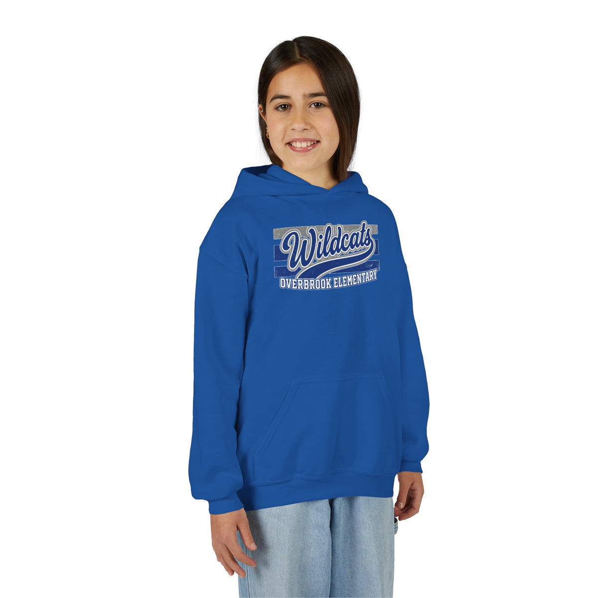 Youth Overbrook Elementary Wildcats Vintage Distressed Spirit Graphic Hoodie