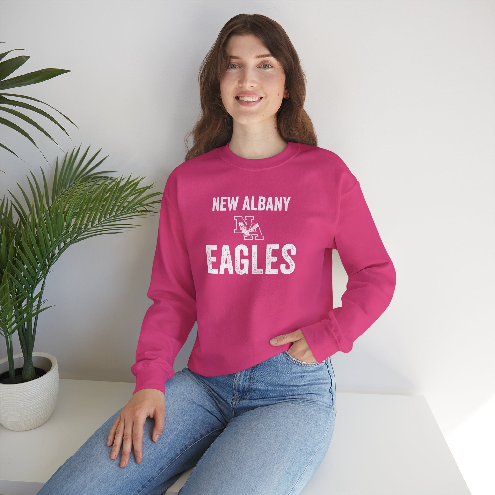Adult Unisex Vintage Distressed New Albany Eagles Graphic Sweatshirt