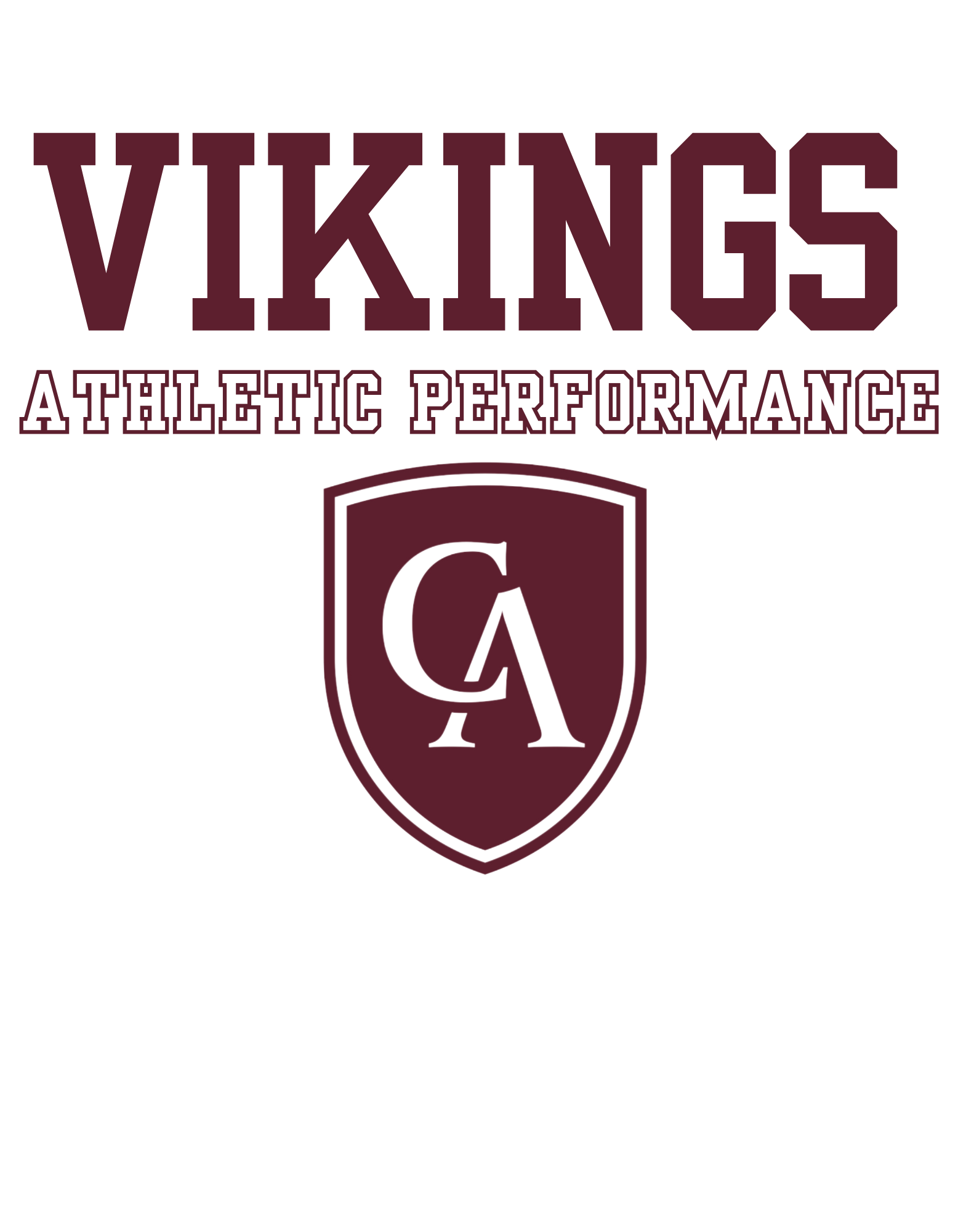 Adult Unisex Choose your Graphic Hoodie with Customized Back - Columbus Academy Fall Sports