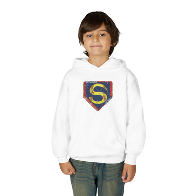 Youth Stingers Softball Distressed Logo Graphic Hoodie