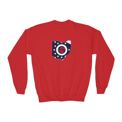 Youth Stingers Softball State Logo Graphic Gildan Heavy Blend Sweatshirt