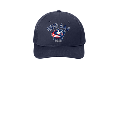 Adult Unisex Ohio AAA Blue Jackets Snapback Trucker Hat