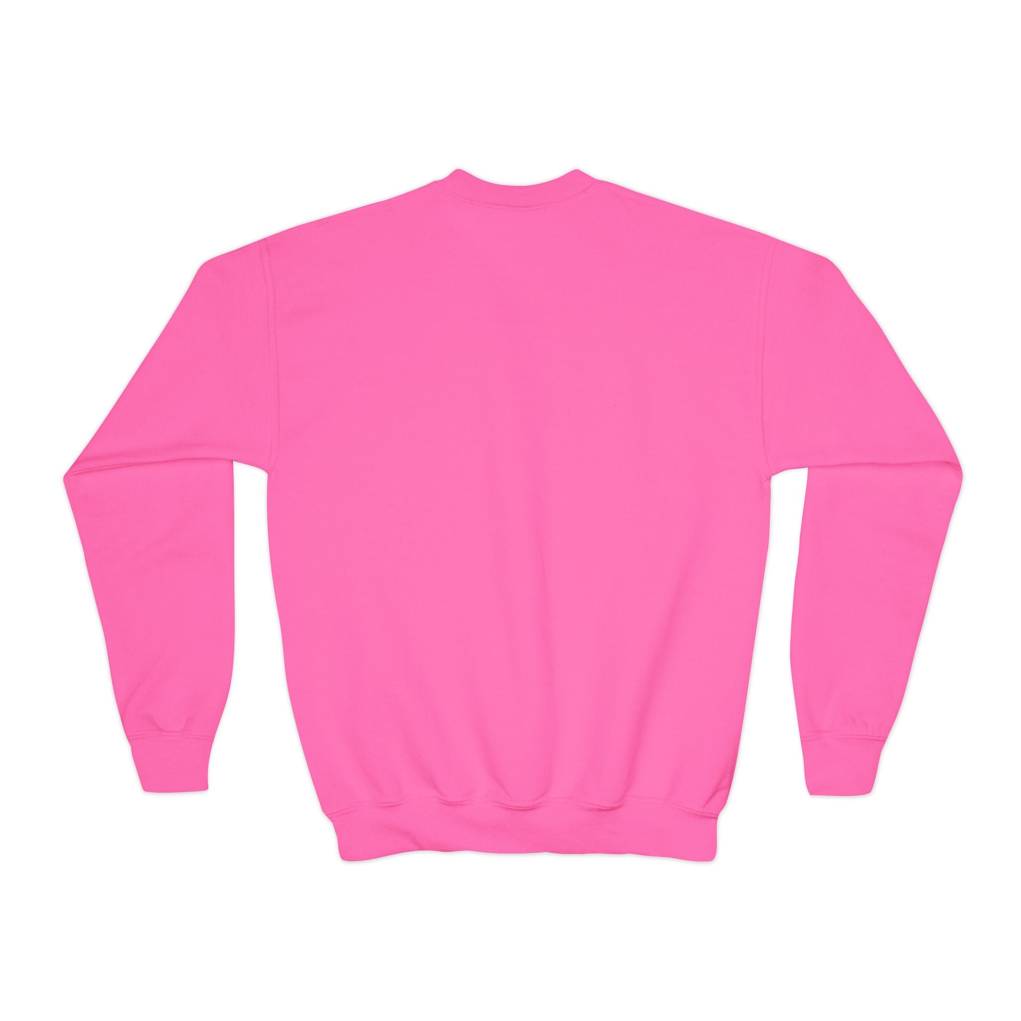Youth New Albany Youth Soccer League Crest Graphic Sweatshirt
