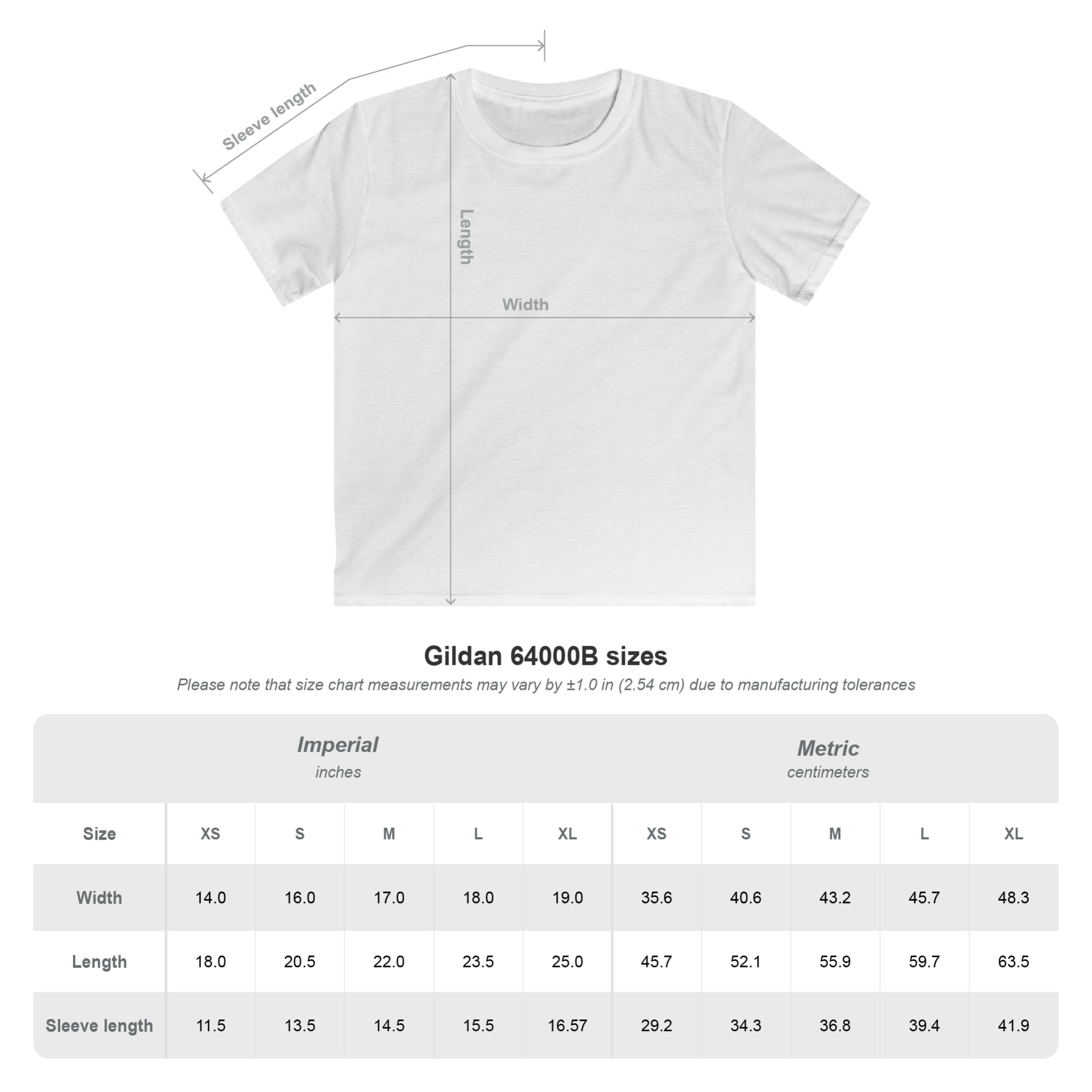 Youth South Hills Swim Club SHSC Ombre Graphic Short Sleeve Gildan Softstyle Tee