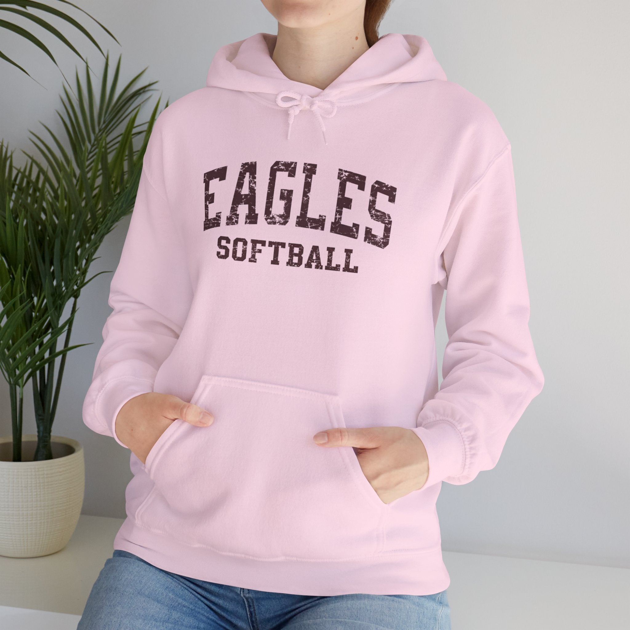 Adult Unisex New Albany Eagles Softball Vintage Distressed Graphic Hoodie