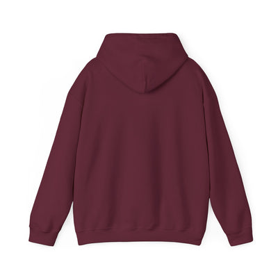 Copy of Adult Unisex New Albany Eagles Victory Volleyball Graphic Hoodie