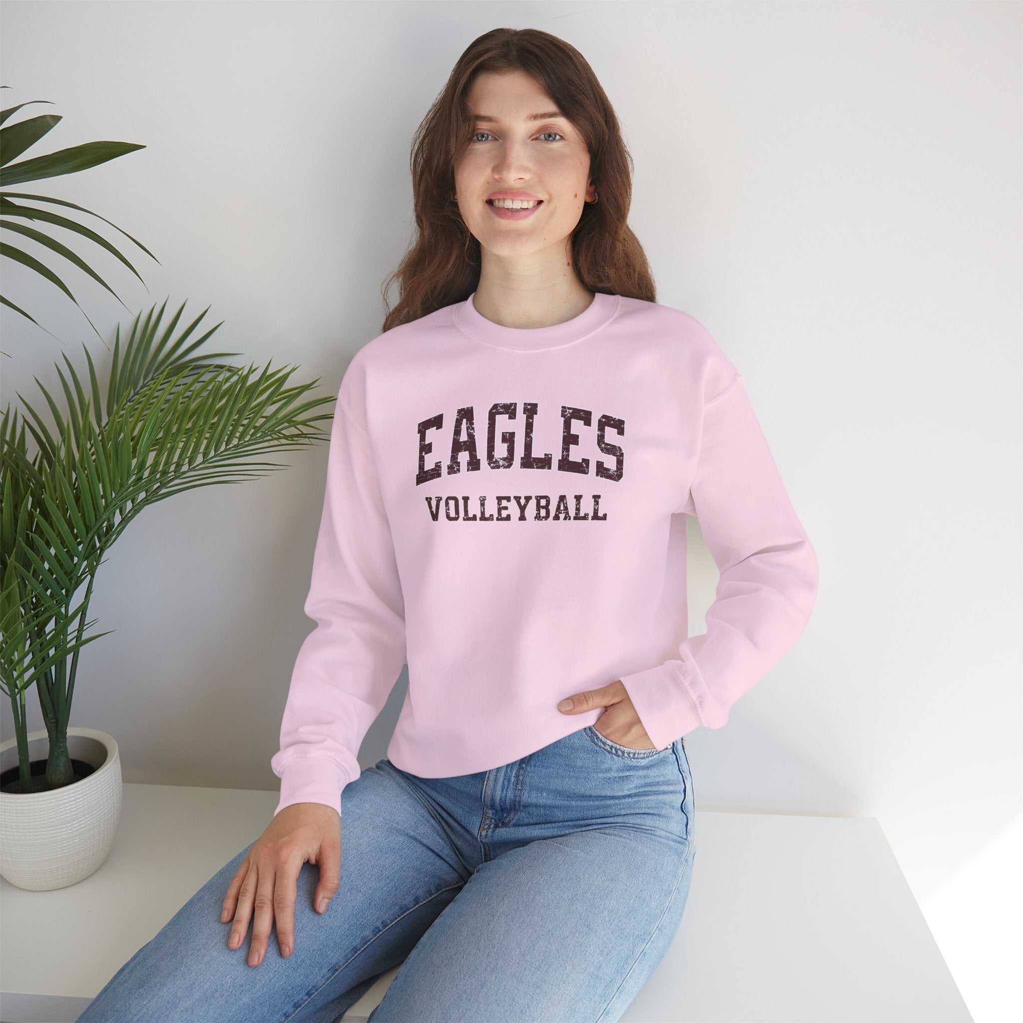 Adult Unisex New Albany Eagles Volleyball Vintage Distressed Graphic Sweatshirt