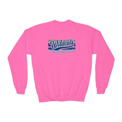 Youth Overbrook Elementary Wildcats Vintage Distressed Spirit Graphic Sweatshirt