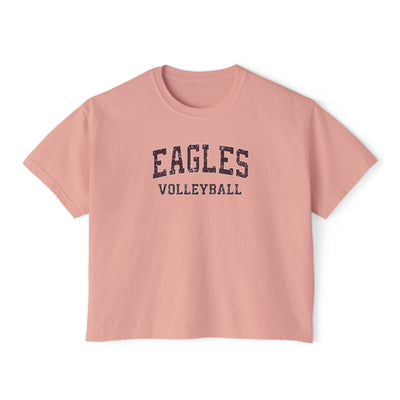 Women's New Albany Eagles Volleyball Vintage Distressed Graphic Boxy Crop Short Sleeve Tee