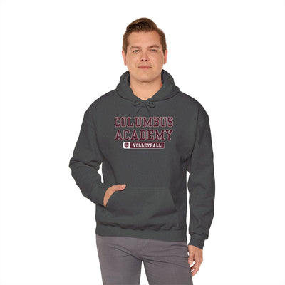 Adult Unisex Columbus Academy Volleyball Graphic Hoodie