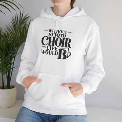 Adult Unisex Dublin Scioto Choirs Life would B-Flat Graphic Hoodie