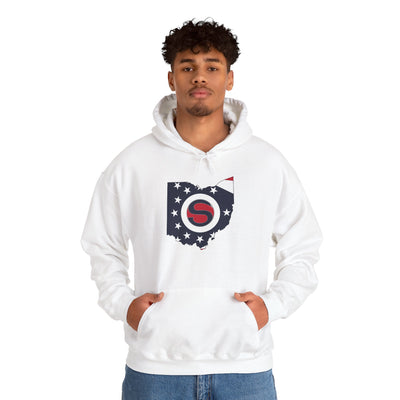 Adult Unisex Stingers Softball State Logo Graphic Hoodie