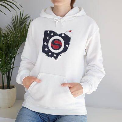 Adult Unisex Stingers Softball State Logo Graphic Hoodie