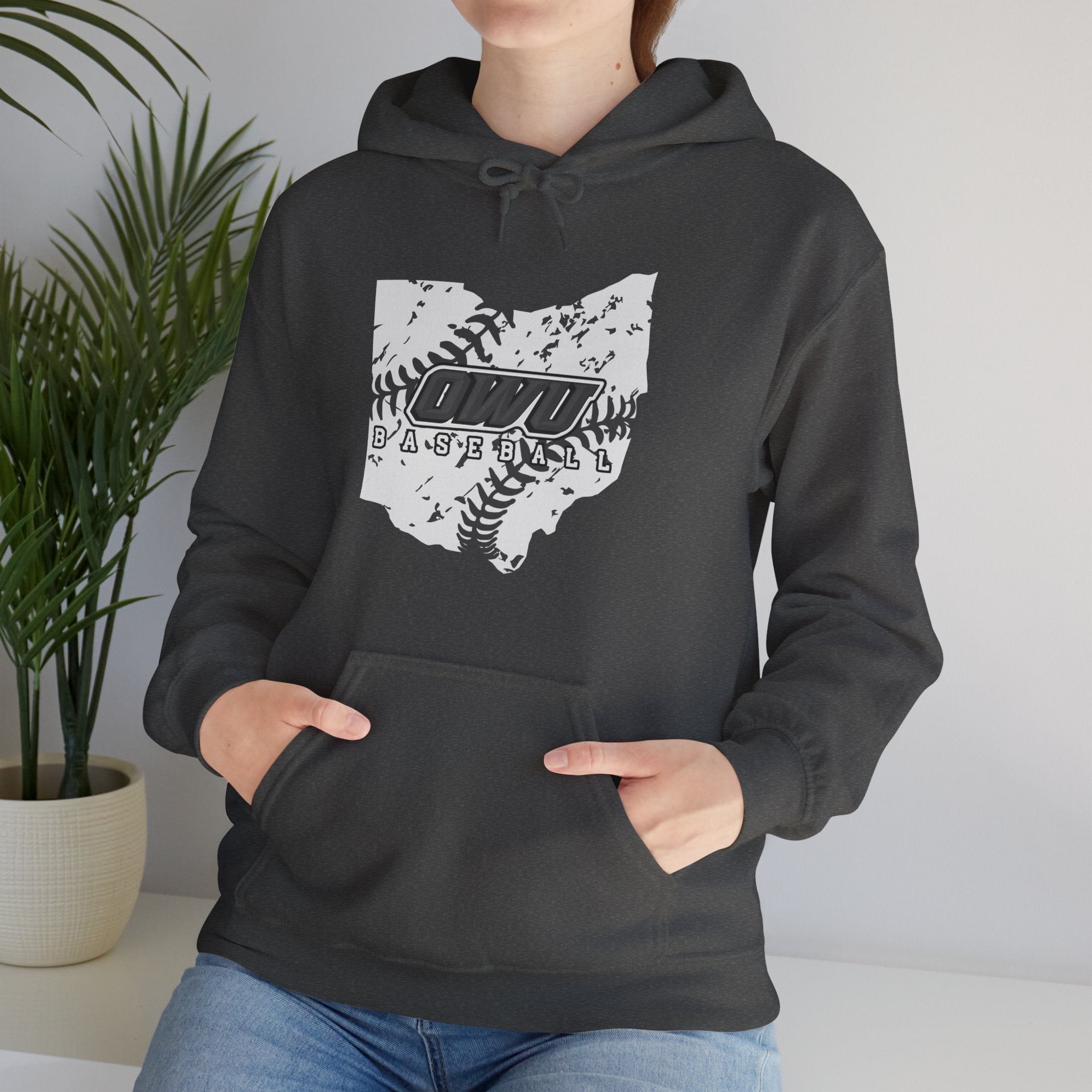Adult Unisex OWU Baseball Stitches Distressed Ohio Graphic Hoodie