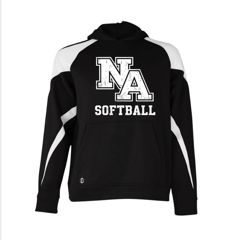 Adult Unisex New Albany Softball Vintage Vibe Logo Graphic Holloway Colorblock Fleece Hoodie
